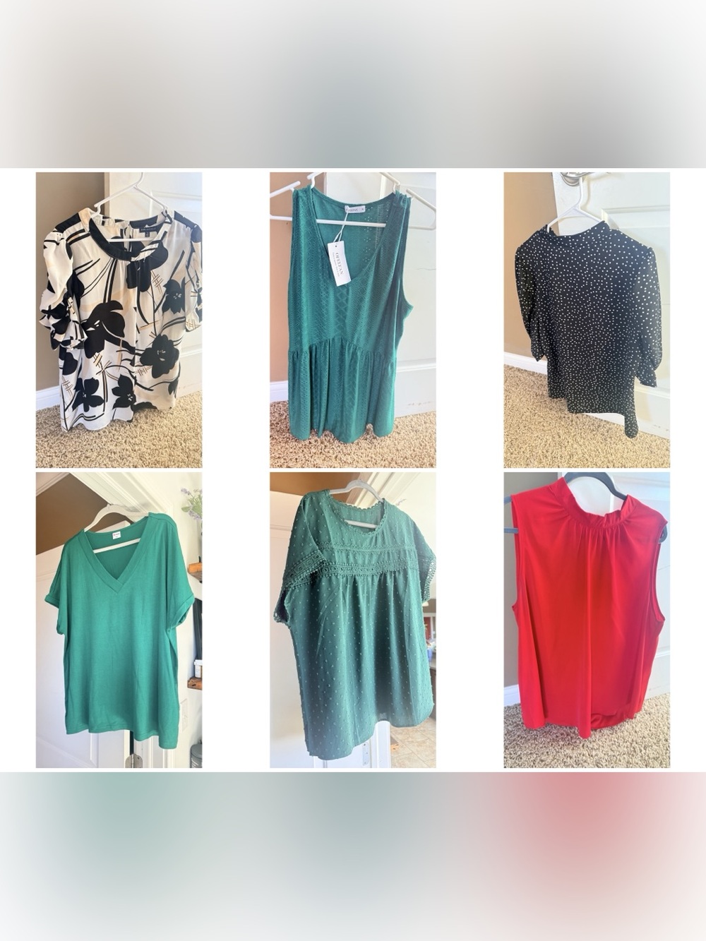 6 plus size dressy shirts. SHEIN or Amazon.2xl and 3xl.They all fit size 18-20.